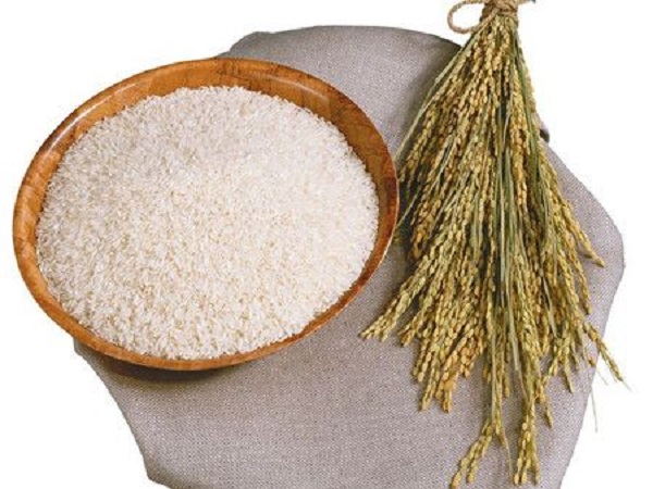 Japonica Rice Extract