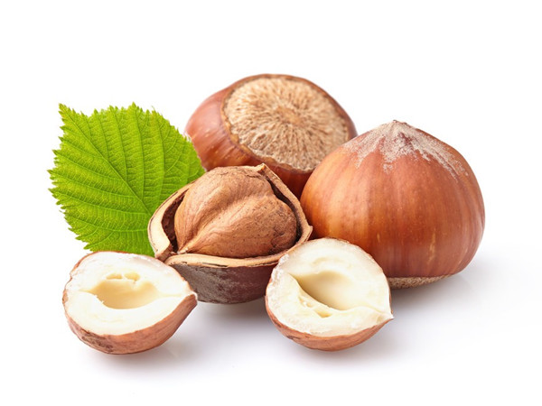 Hazelnut Extract