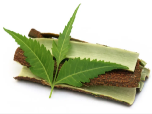 Neem Bark Extract