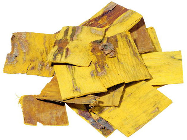 Phellodendron Extract