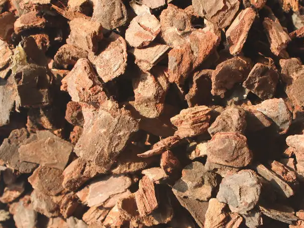 Pine Bark Extract