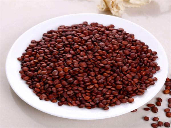 Jujube Seed Extract