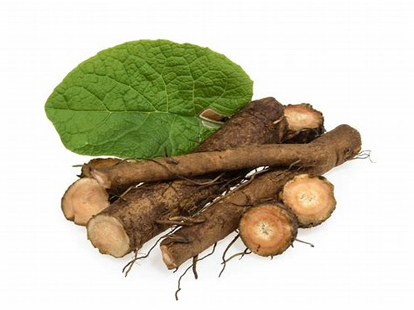 Burdock Root Extract