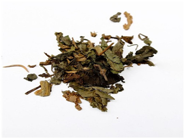 Herba Schizonepetae Extract