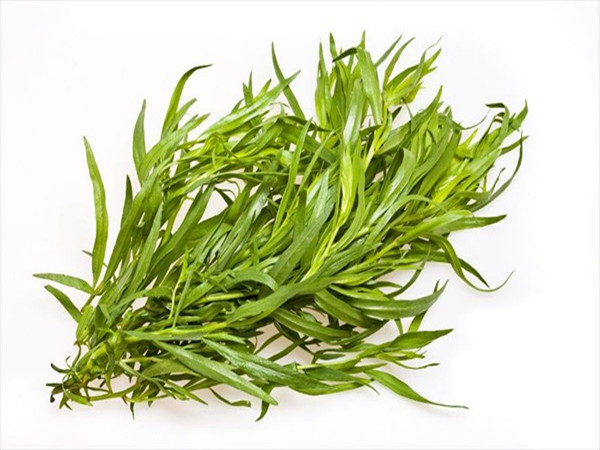 Tarragon Extract