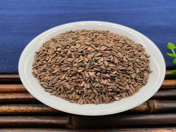 Burdock Seed Extract