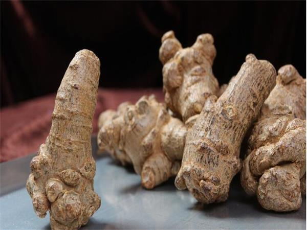 Notoginseng Extract