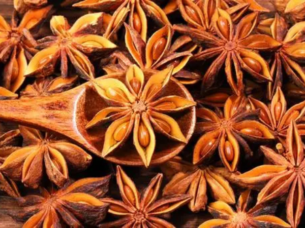 Star Anise Extract