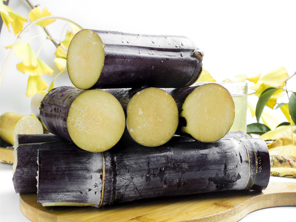 Sugar Cane Extract