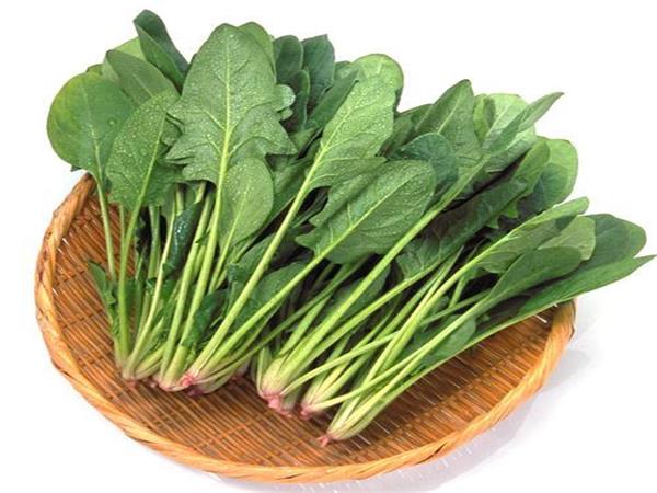 Spinach Extract