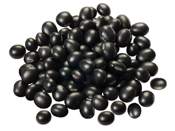 Black Soybean Powder