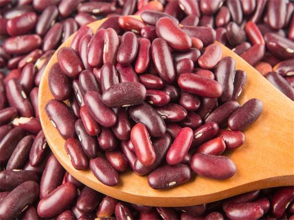 Red Kidney Bean Extract