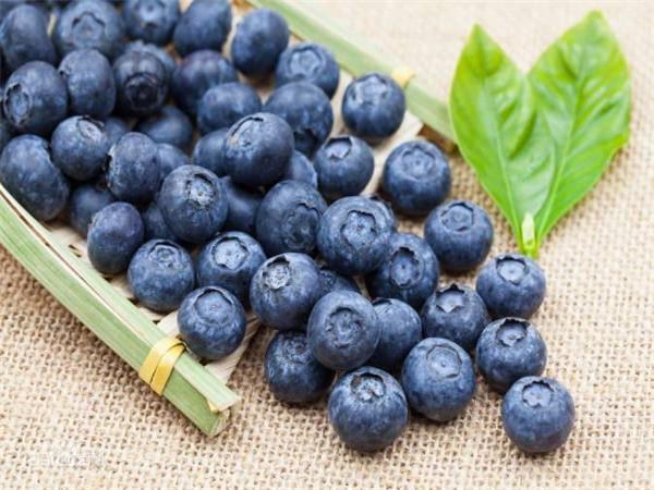 Blueberry Fruit Powder