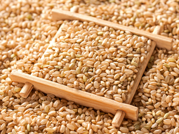 Brown Rice Extract