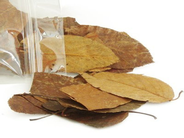 Hawthorn Leaf Extract