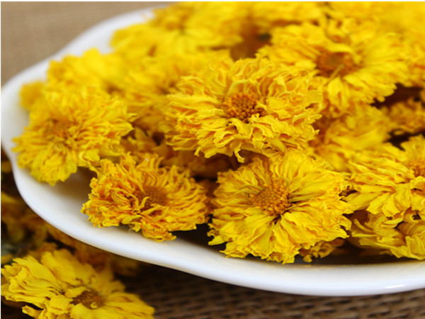 Instant Chrysanthemum Powder