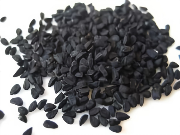 Black Cumin Seed Extract