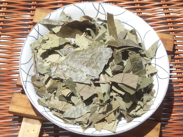 Epimedium Extract