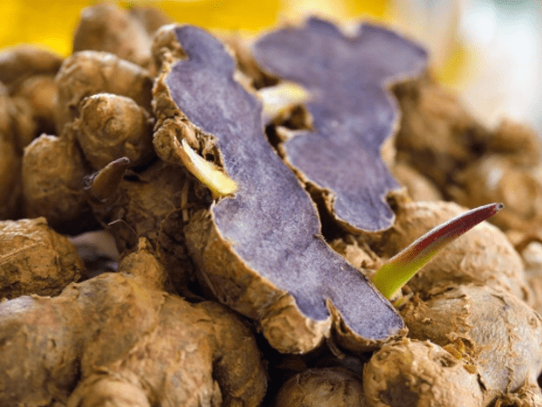 Kaempferia Parviflora Extract