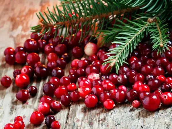 Best Cranberry Extract