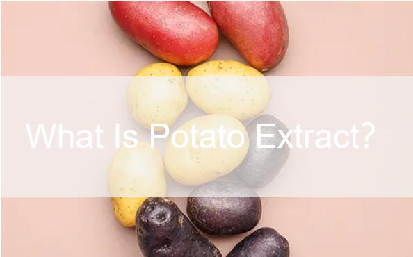 What is potato extract​？