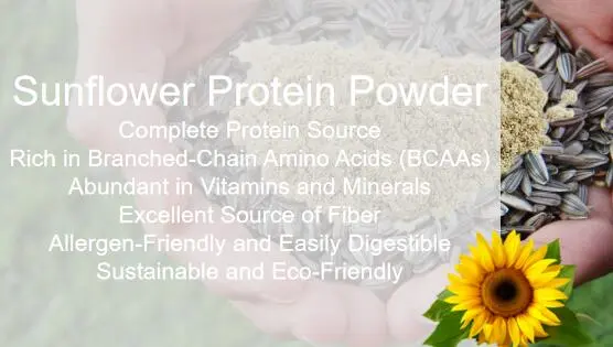 Sunflower Seed Protein Powder Benefits​