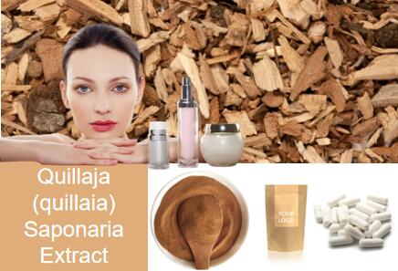 What is quillaja extract?