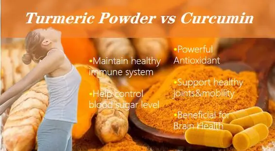 Turmeric Powder vs Curcumin