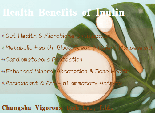 Inulin Health Benefits