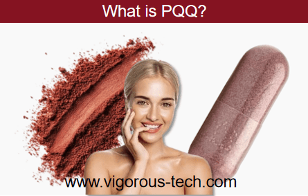 What is PQQ？