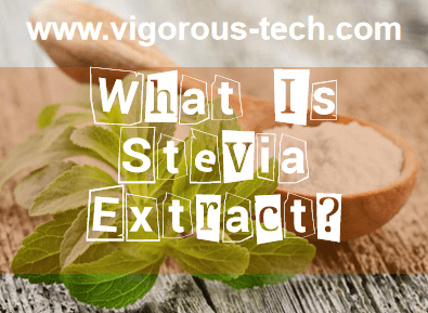 What Is Stevia Extract?