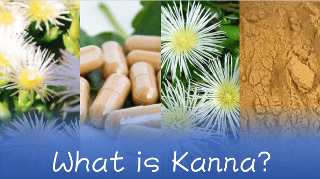 What is Kanna?