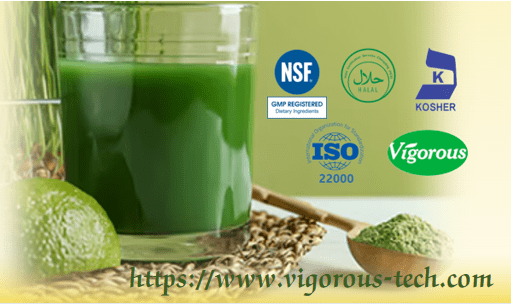 Is Wheatgrass Powder Gluten Free