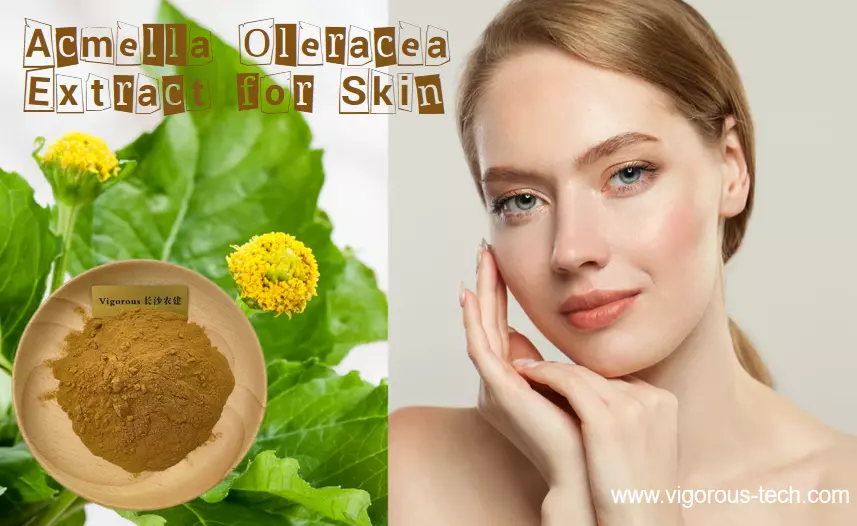 Acmella Oleracea Extract for skin