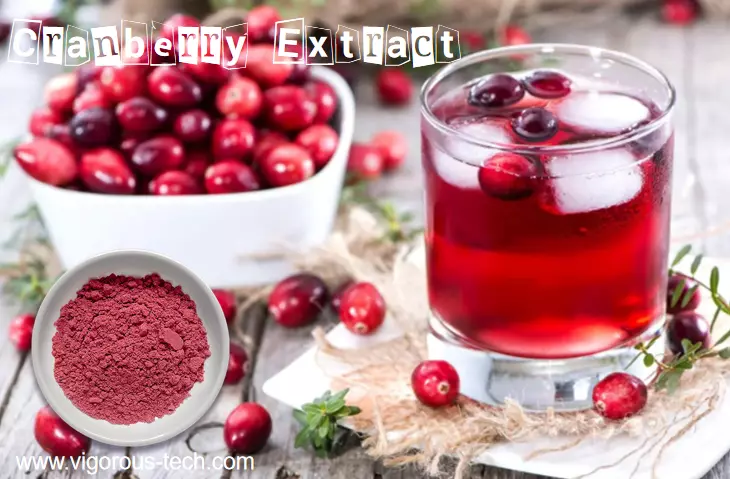 What is cranberry extract good for?