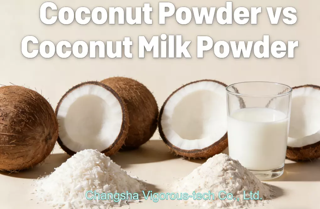 Coconut Powder vs Coconut Milk Powder