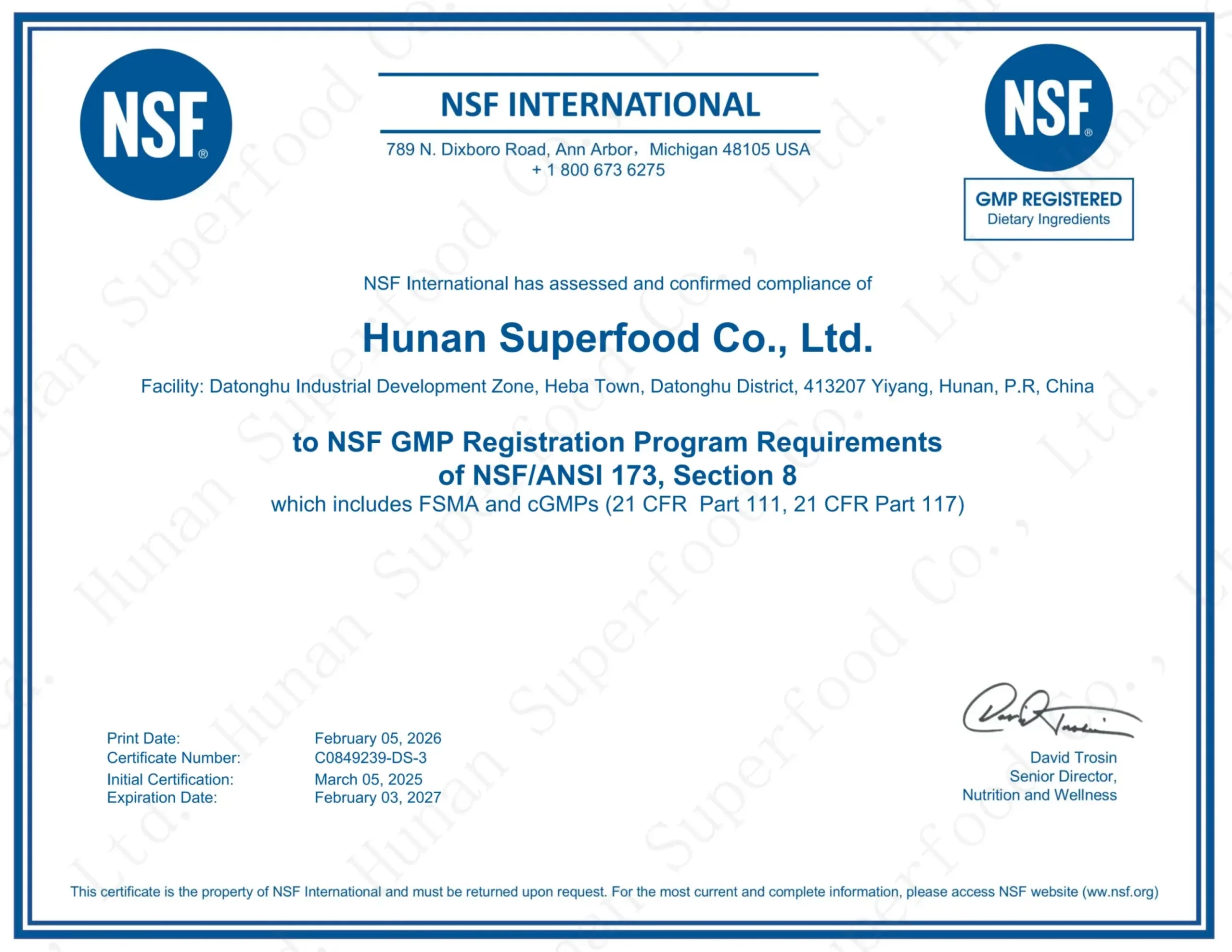 cGMP