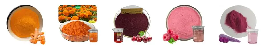 Best Cranberry Extract