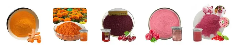Organic Black Carrot Juice Powder