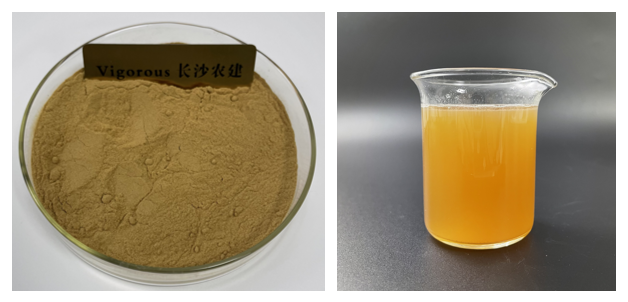 Ginseng Extract