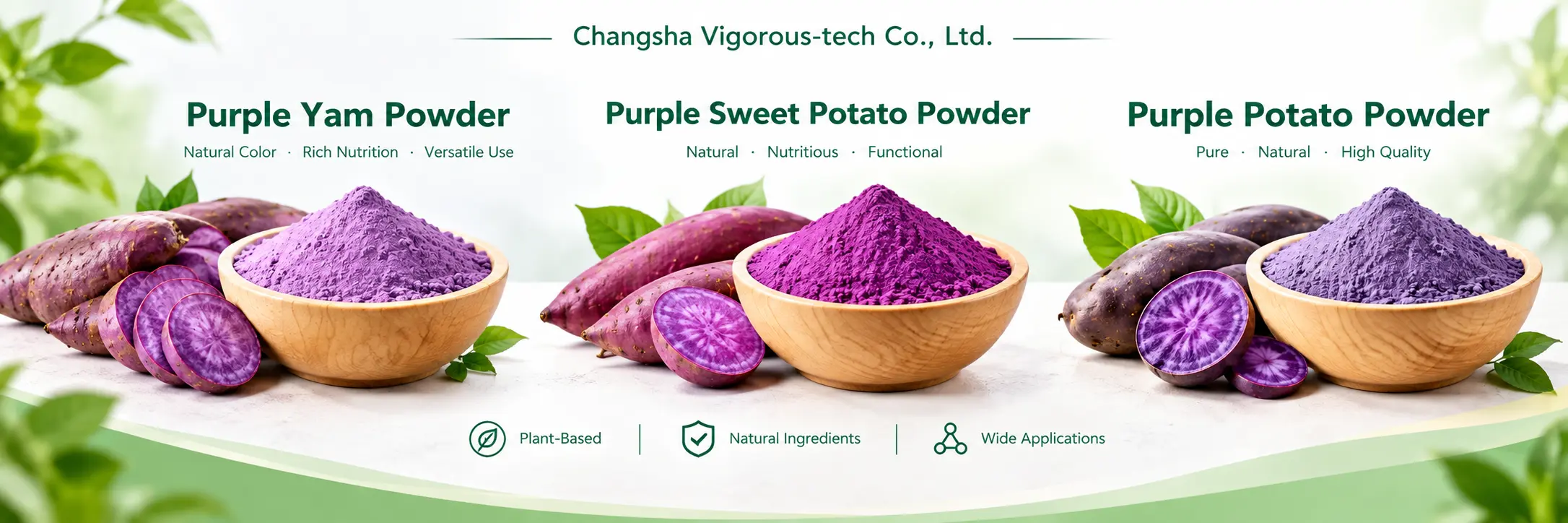 Purple Potato Extract: Anthocyanins, Food Applications, and How It Compares with Purple Sweet Potato Powder and Purple Yam Powder