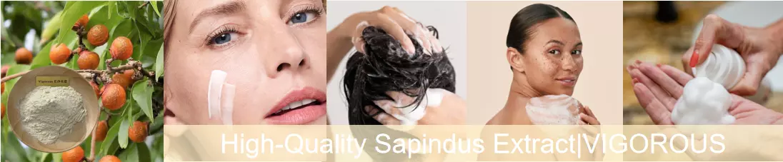 Sapindus Extract