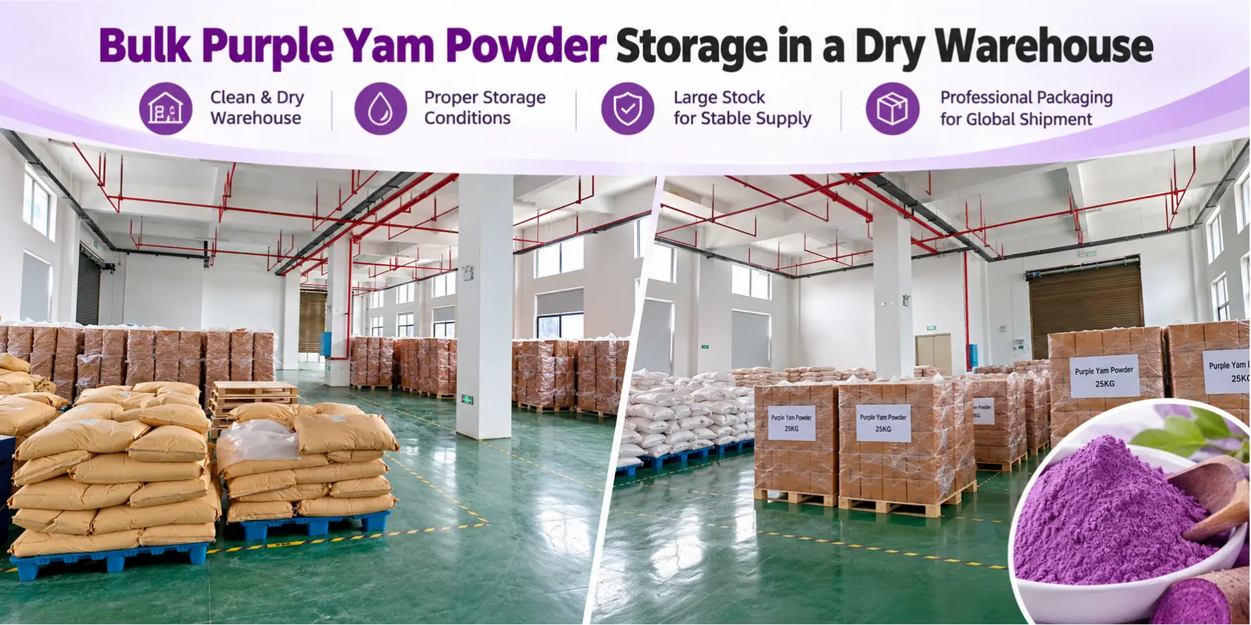 How to Store Purple Yam Powder?