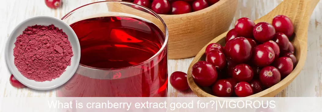 What is cranberry extract good for?