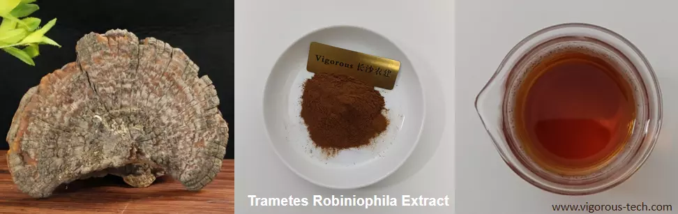 What is huaier mushroom?