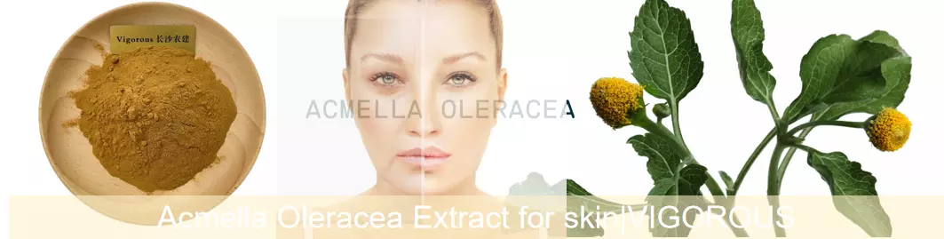 Acmella Oleracea Extract for skin