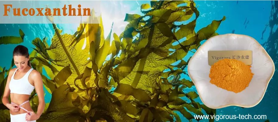 Fucoxanthin