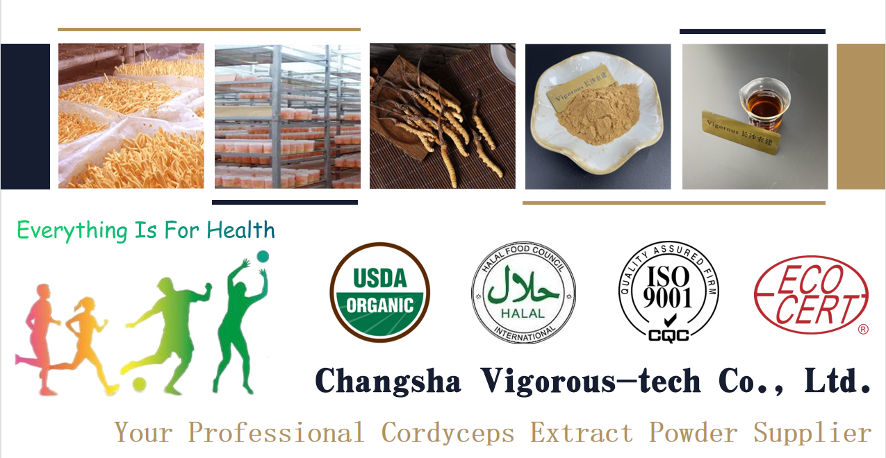 Cordyceps Extract