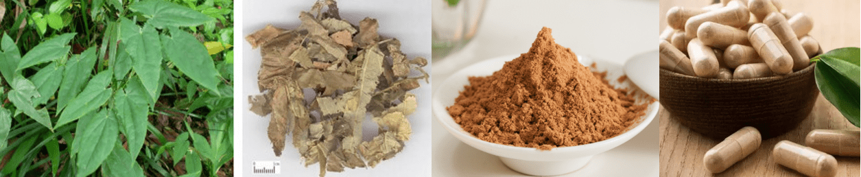 Epimedium Extract(Horny Goat Weed)