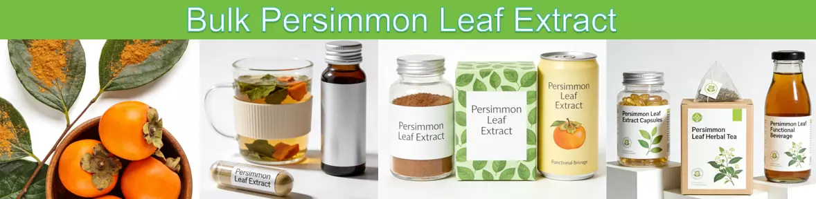 Persimmon Leaf Extract Powder: Benefits, Uses, and Applications for Manufacturers